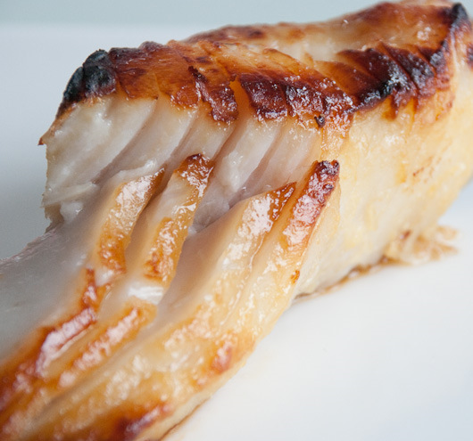 What is sablefish?